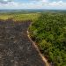 Área queimada no Brasil fica 31% abaixo da média histórica em 2025