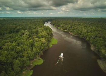 FAS promove debate gratuito sobre caminhos para o desmatamento zero e ação climática na Amazônia nesta quinta