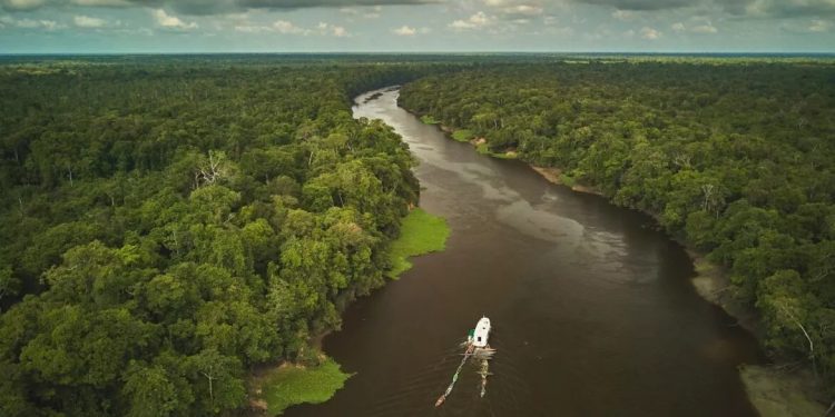 FAS promove debate gratuito sobre caminhos para o desmatamento zero e ação climática na Amazônia nesta quinta