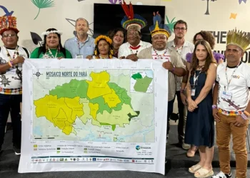 INCRA declara apoio ao Mosaico Norte do Pará, que pode se tornar o maior do mundo