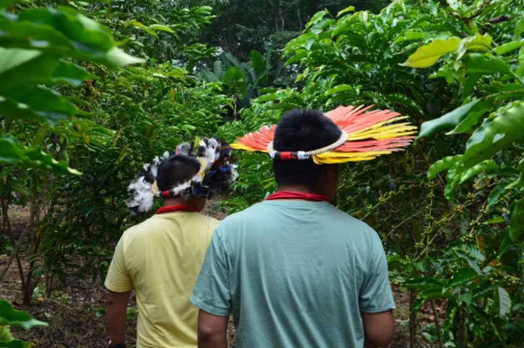 Conheça nove destinos turísticos que revelam a riqueza natural e cultural da Amazônia brasileira