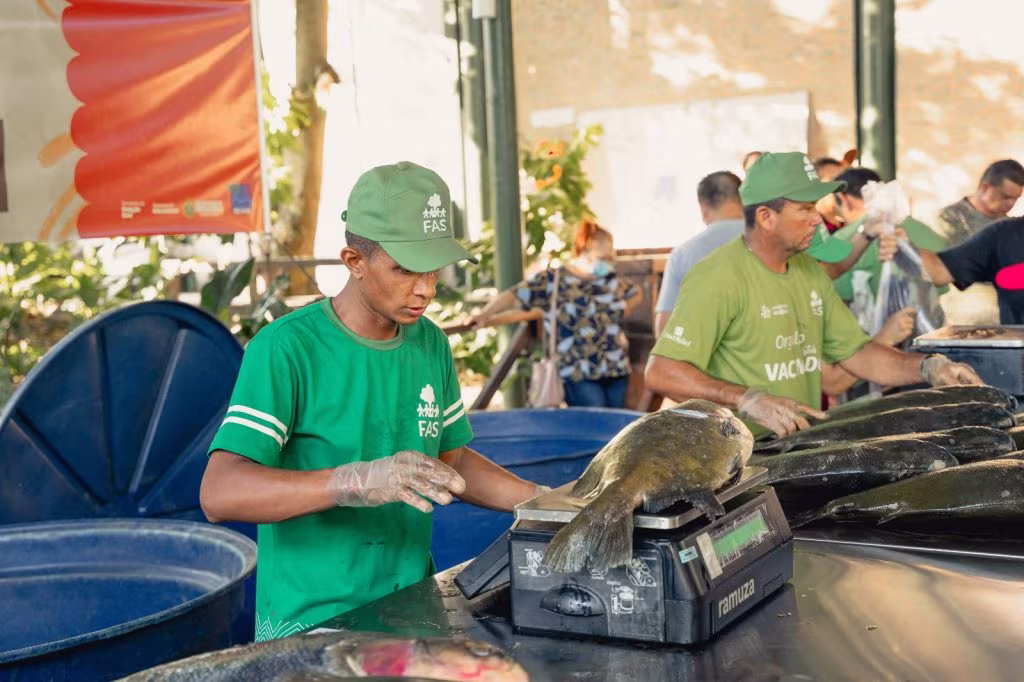 Feira do Tambaqui oferece 8 toneladas de pescado em Manaus neste sábado
