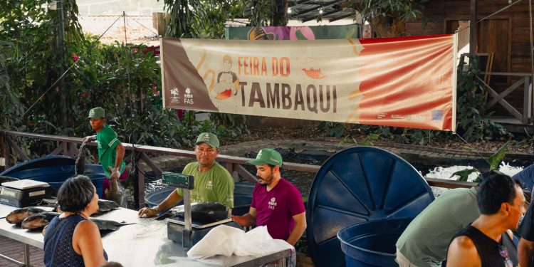 Feira do Tambaqui oferece 8 toneladas de pescado em Manaus neste sábado