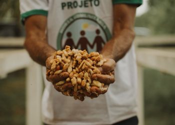 Inscrições gratuitas para jornada de aceleração de negócios são prorrogadas no Amazonas