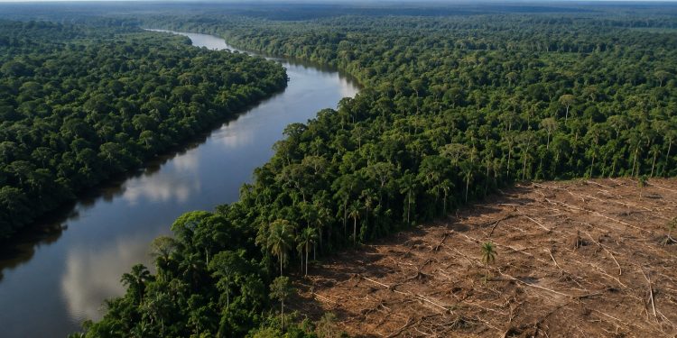 Amazônia registra menor área sob alerta de desmatamento em uma década, aponta Inpe