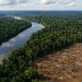 Amazônia registra menor área sob alerta de desmatamento em uma década, aponta Inpe