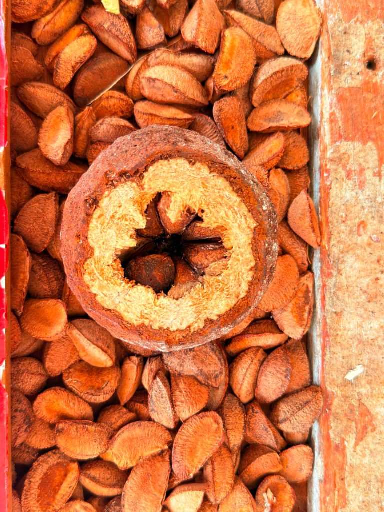 Programa Raiz Empreendedora chega a Tabatinga (AM) e Marabá (PA) para fortalecer negócios da bioeconomia amazônica