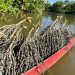 Programa Raiz Empreendedora chega a Tabatinga (AM) e Marabá (PA) para fortalecer negócios da bioeconomia amazônica