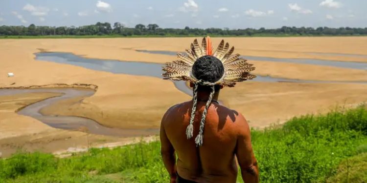Da Amazônia à Europa, seca avança e movimenta debates na COP17
