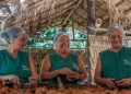 Da semente ao negócio: família ribeirinha transforma andiroba em produtos e turismo na Amazônia
