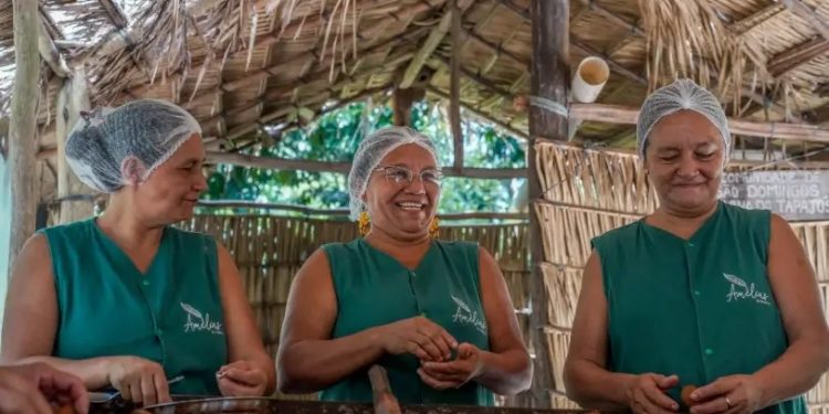 Da semente ao negócio: família ribeirinha transforma andiroba em produtos e turismo na Amazônia