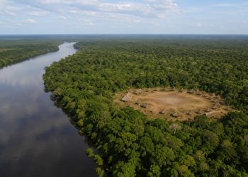 Imazon aponta desmatamento zero em 60% de terras indígenas na Amazônia