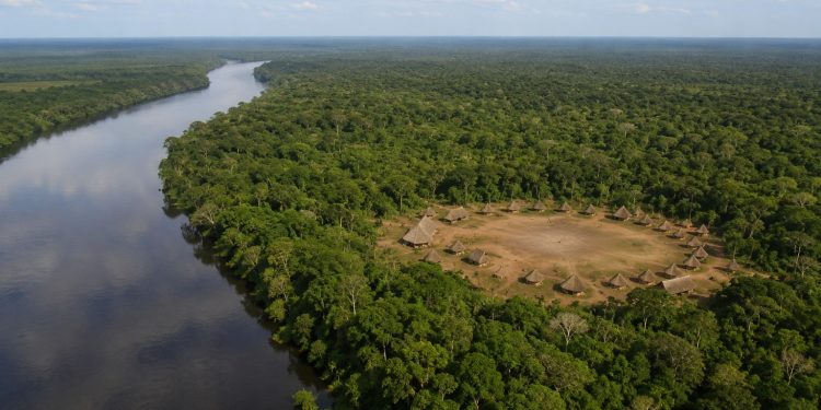 Imazon aponta desmatamento zero em 60% de terras indígenas na Amazônia