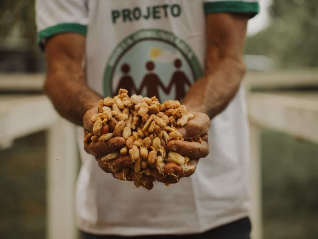 Guiada pelos rios, Tefé se consolida como polo de desenvolvimento sustentável