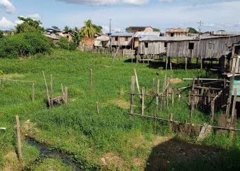 Programa de R$ 17,5 milhões para organizações periféricas do Amazonas prorroga inscrições até dia 20 de setembro
