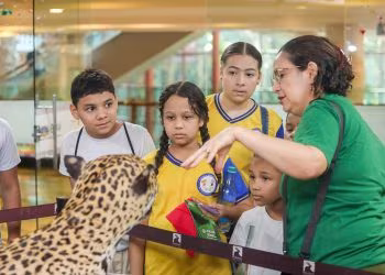 Exposição em Manaus apresenta biodiversidade amazônica em parceria entre Prefeitura e Inpa