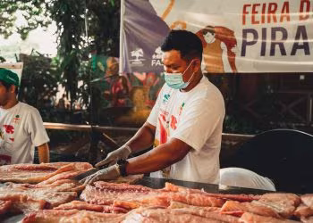 Feira do Pirarucu comercializa cinco toneladas de pescado a preços acessíveis neste sábado em Manaus