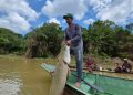 Pirarucu de manejo sustentável consolida presença na alimentação escolar pública do Amazonas