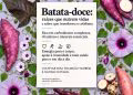 Batata-doce conecta Amazônia ao Japão em novo livro quadrilíngue da Editora Inpa