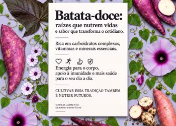 Batata-doce conecta Amazônia ao Japão em novo livro quadrilíngue da Editora Inpa