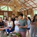 Pará sedia primeira edição de escola internacional dedicada à sociobioeconomia amazônica