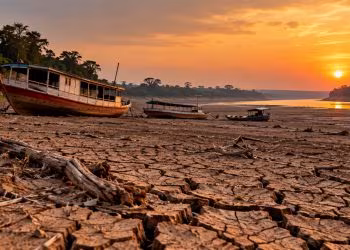 Campanha arrecada alimentos para afetados por seca no Amazonas