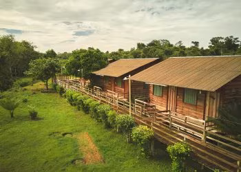 Turismo comunitário no Amazonas: edital de até R$ 50 mil tem inscrições prorrogadas