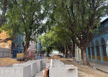 Obras na Ferreira Pena serão adaptadas para proteger árvores do Centro de Manaus