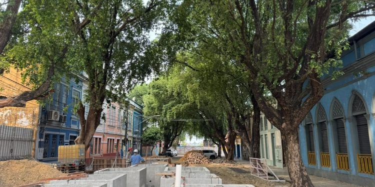 Obras na Ferreira Pena serão adaptadas para proteger árvores do Centro de Manaus
