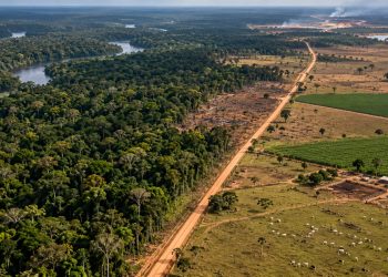 Agropecuária ocupa territórios próximos aos preservados na Amazônia