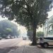 Fumaça das queimadas afeta a qualidade do ar em Manaus e acende alerta para a saúde da população