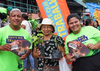 Prefeitura de Manaus doa 400 mudas na Compensa e amplia ações de arborização