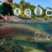 Seminário reúne saberes e experiências sobre rastreabilidade do pirarucu na Amazônia