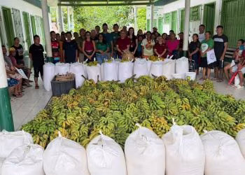 Programa de Aquisição de Alimentos fortalece agricultura indígena e beneficia famílias em Eirunepé