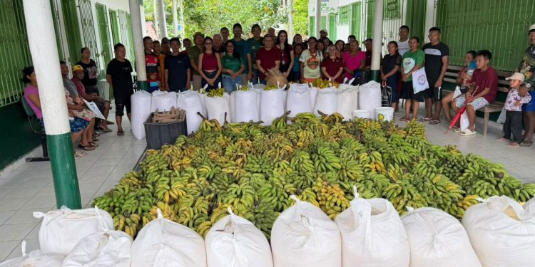 Programa de Aquisição de Alimentos fortalece agricultura indígena e beneficia famílias em Eirunepé