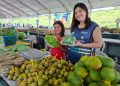 Manaus terá oito feiras de produtos regionais nesta semana; veja locais e horários