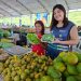 Manaus terá oito feiras de produtos regionais nesta semana; veja locais e horários