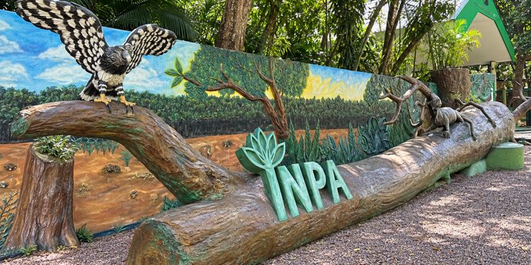 Inpa celebra 74 anos como referência em biodiversidade, clima e inovação na Amazônia